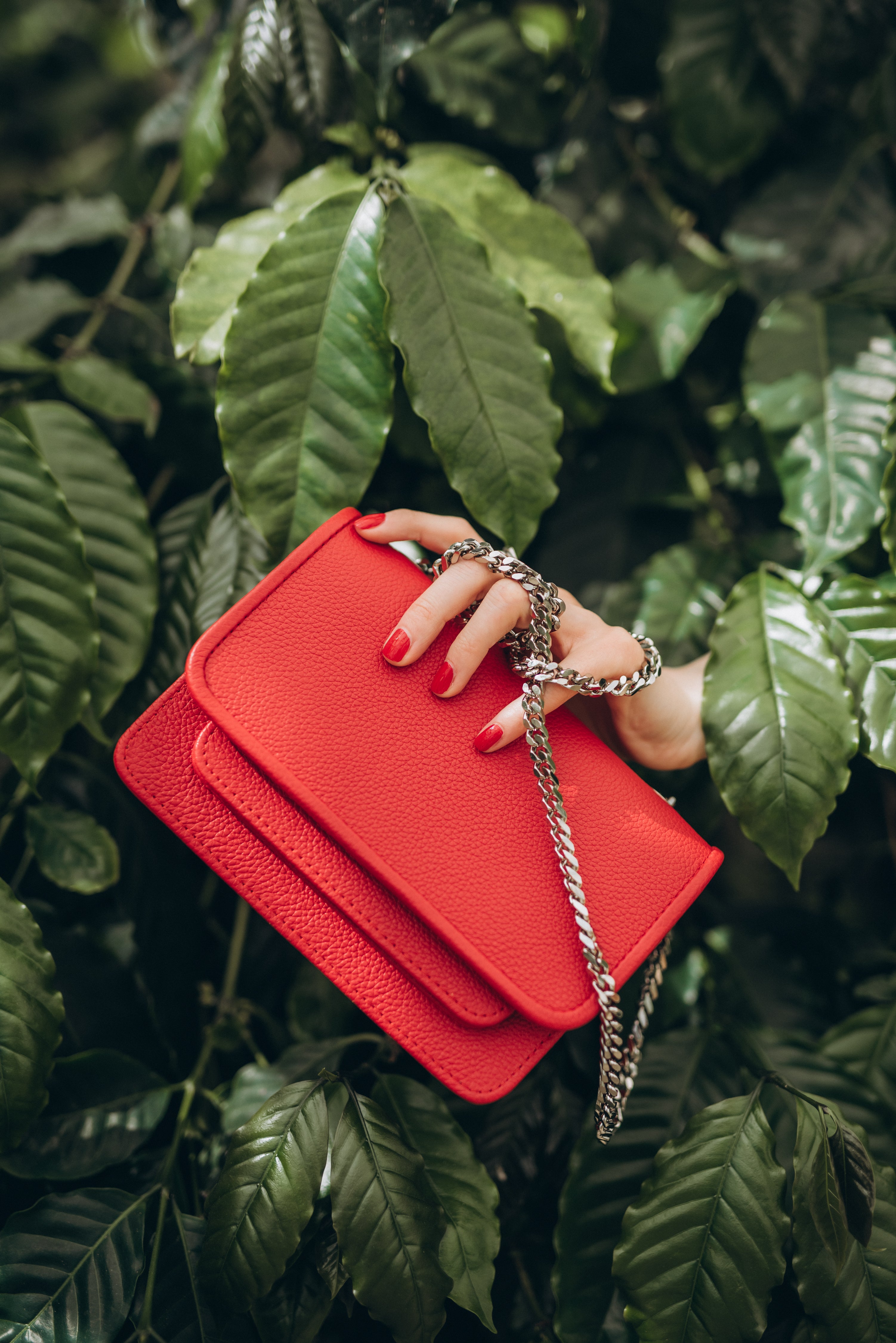 Mini Bag Red with Chain